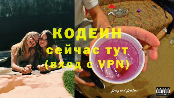 стафф Осташков