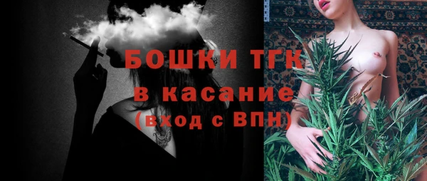стафф Осташков