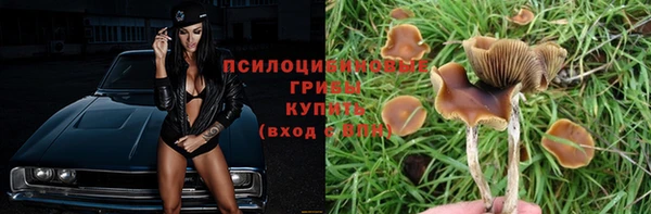 стафф Осташков
