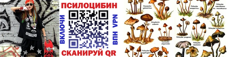 kraken вход  купить наркоту  Ирбит  Псилоцибиновые грибы мицелий 