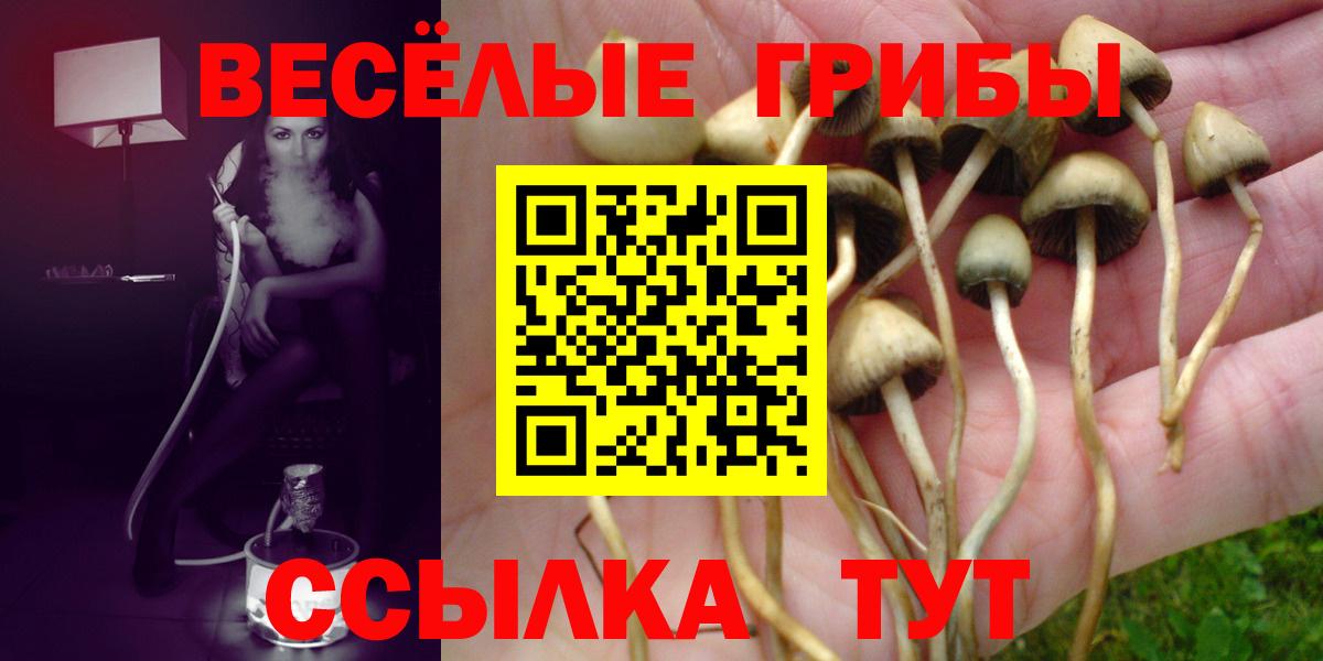 Ирбит  Галлюциногенные грибы Magic Shrooms  Вход с VPN 